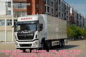 畜禽运输车，拉猪车。视频封面