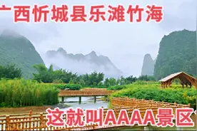 广西忻城县，几棵竹子就叫4A景区？对不起我9块的油钱视频封面