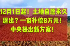 12月1日起！土地自愿永久退出，一亩补偿8万元？中央提出新方案！视频封面