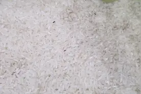 大米生虫不要怕，米店老板教我一招，虫子跑光光，太实用了视频封面