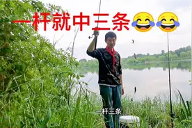 抛竿串钩挂蚯蚓野钓，噶呀鲫鱼都能钓到，附带野生蚯蚓获取方法。