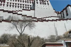 布达拉宫内部不让拍摄的地方到底是什么，怎么办？好奇偷拍视频封面