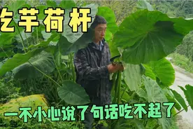 吃芋荷杆很讲究，不然会麻嘴，勇哥一不小心弄翻车了视频封面