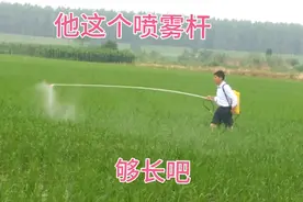 秧田里施农药用上它，10米宽的田，一趟就喷完了视频封面