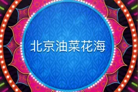 北京大兴瀛海镇500亩油菜花海视频封面