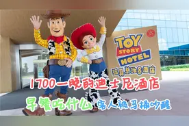1700一晚的迪士尼玩具总动员酒店 早餐吃什么 客人居然被马桶吵醒视频封面