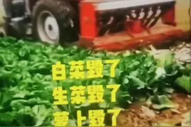 一份耕耘不一定就有收获视频封面