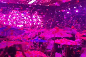 心软的神没遇到 心狠的爷周围都是.
＃樱花雨 ＃MIX电音烤吧视频封面