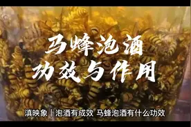 滇映象•泡酒有成效｜马蜂泡酒的功效与作用