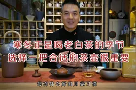 不是所有的茶壶都适合泡老白茶​，选一把实用性强的茶壶很重要！视频封面