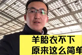 不看不知道，原来羊胎衣不下这么简单，养殖户实用技术分享视频封面