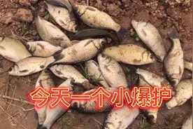 都说西南风不好钓鱼，今天我用一个方法两个小时钓几斤大鲫鱼