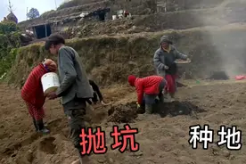 尼泊尔中部农民抛坑种地，地里一年三熟，他们每天都在忙碌中度过视频封面