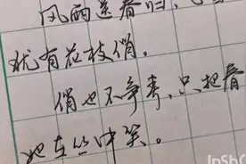 硬笔行书毛主席词《卜算子咏梅》俏也不争春，只把春来报视频封面