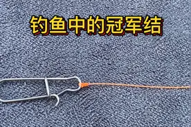 钓鱼当中的冠军结，只要学会这个绑法，再也不怕跑鱼，建议收藏！视频封面