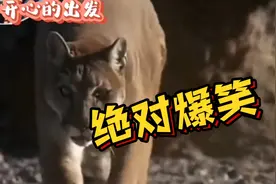 不信你不笑之《够吹一辈子的牛了》视频封面