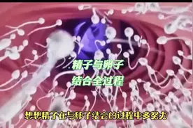 你们知道小蝌蚪与卵子是怎么结合的吗？