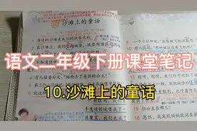 语文二年级下册课文讲解10.沙滩上的童话视频封面