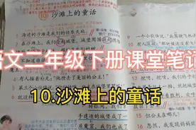 语文二年级下册课文讲解10.沙滩上的童话视频封面
