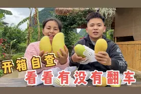 村花媳妇网上卖芒果，没想到老公偷偷拍下开箱试吃，看看翻车了吗视频封面