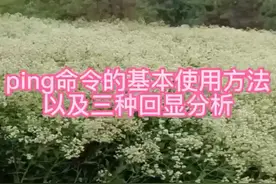 ping命令的使用方法和回显分析视频封面