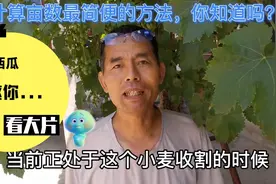 计算土地亩数最简便的方法？“加半左移三”它计算的口诀是16字…视频封面