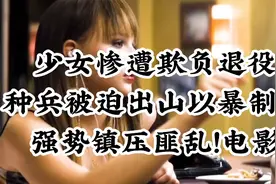 一位老练的前Z府特工为了弥补过去所F下的过错而与F律系统视频封面