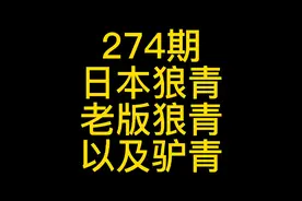 274-聊聊日本狼青（老版狼青）以及驴青