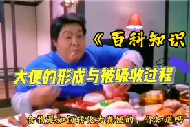 百科知识：食物消化形成大便的过程，及大便的被吸收过程！视频封面