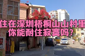 住在深圳梧桐山山村里，你能耐住寂寞吗？梧桐山现状@头条本地通视频封面