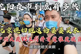 北京媳妇700公里跑沈阳逛街，先给婆婆买衣服，儿子抢着干活！视频封面