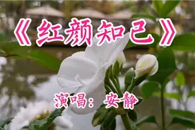 安静《红颜知己》如果爱不能走出回忆，就让我做你的红颜知己视频封面