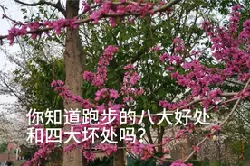 跑步有8大好处，4大坏处！跑步的坏处你知道多少？视频封面