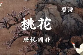 唐代诗人周朴一首《桃花》，言有尽而意无穷，寓指极深视频封面