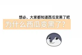 普及:西瓜 头条 小红书等软件都变成黑白了？视频封面