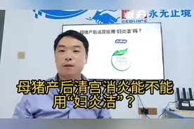母猪产后清宫消炎能不能用“妇炎洁”？消炎做不好，断奶不发青！视频封面