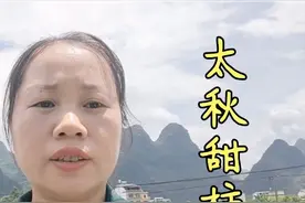 9月是太秋甜柿成熟季节，辛苦一年育出漂亮的甜柿苗，全对版