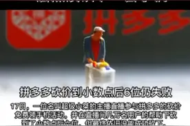 PDD的内幕视频封面