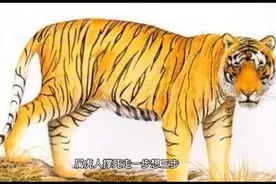 十二生肖虎最怕什么？视频封面