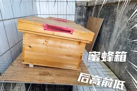 蜜蜂箱摆放很重要，放对了养起蜂来省力又省心
