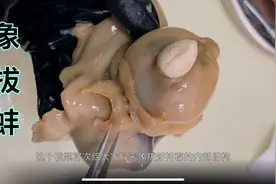 虾怪都哪里不能吃视频封面