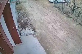 出门就翻车  下次出门前必须看下黄历视频封面