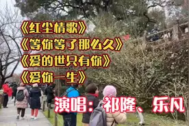 祁隆、乐凡夫妻四首情歌对唱：每首都深情感人，令人陶醉！视频封面