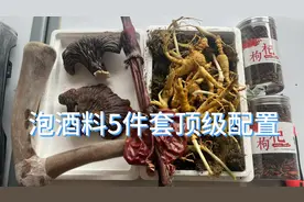 泡20斤酒补补腰子，用鲜鹿茸30年林下参配鹿鞭枸杞，能喝一大年！视频封面