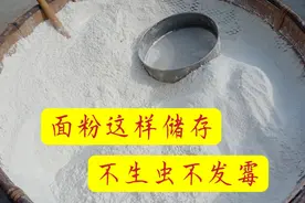老奶奶这样储存面粉，不生虫不发霉，能放三年视频封面