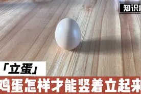 「立蛋」春分才能立蛋？鸡蛋怎样才能竖着立起来？是什么原理？视频封面