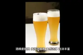 精酿啤酒，挑选精酿啤酒的正确方法视频封面