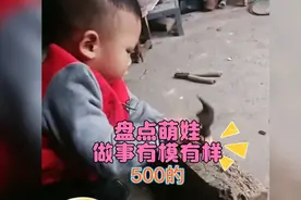 盘点萌娃做事，有模有样，动作麻溜越干越得劲……视频封面