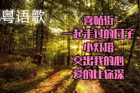 【超燃粤语歌】听过的点个赞，没听过的快存到歌单，舒缓身心解压视频封面