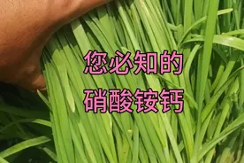 硝酸铵钙，含硝态氮，氧化钙，吸收利用率高，您是怎么施用的？